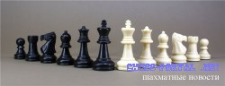 Где научиться играть в шахматы?