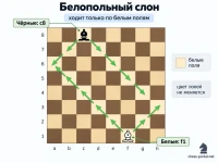Белопольный слон в шахматах