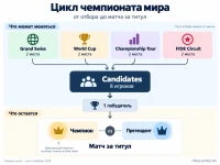 Цикл чемпионата мира по шахматам