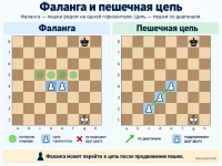 Фаланга