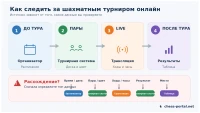 Как следить за шахматным турниром онлайн