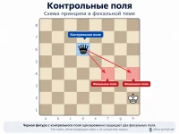 Контрольные поля в шахматной композиции