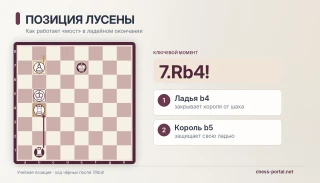 Позиция Лусены