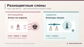 Разноцветные слоны: сравнение атаки на короля в миттельшпиле и блокады проходных пешек в эндшпиле